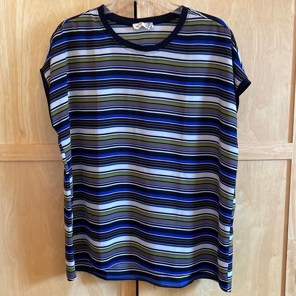 Oversized Blouse Top Blue White Green Striped Short Sleeve Medium Everleigh